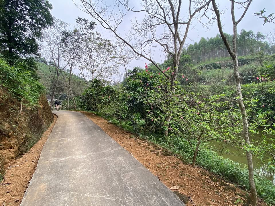 Trang trại Tân Hương Yên Bình 2ha 3.5 tỷ - Sổ đỏ chính chủ