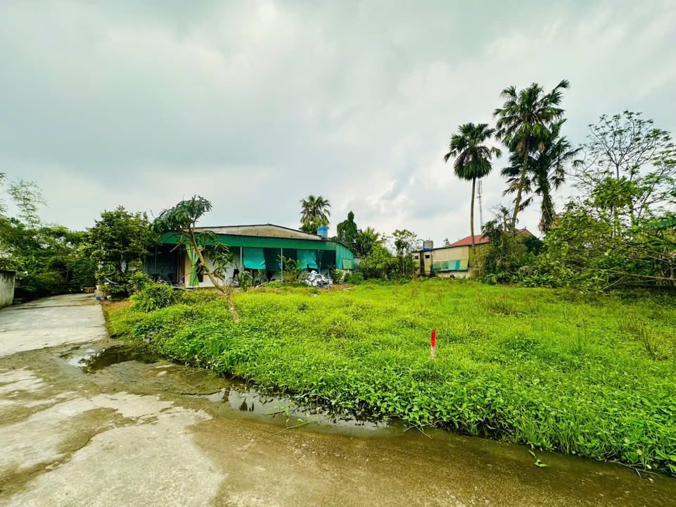 Đất Hà Huy Tập Hà Tĩnh 197m² 1,3xx tỷ - Sổ đỏ chính chủ