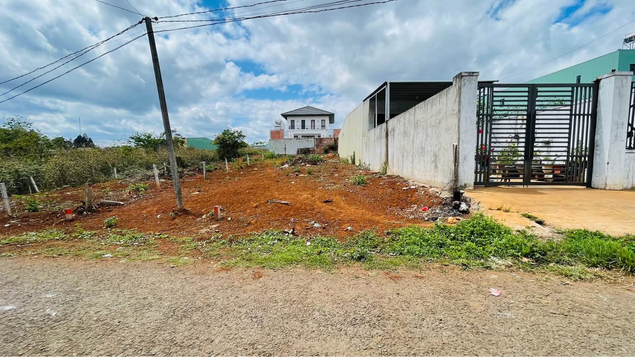 Đất Pleiku hẻm 196 Lê Thánh Tôn 160m² 1.35 tỷ - Sổ đỏ