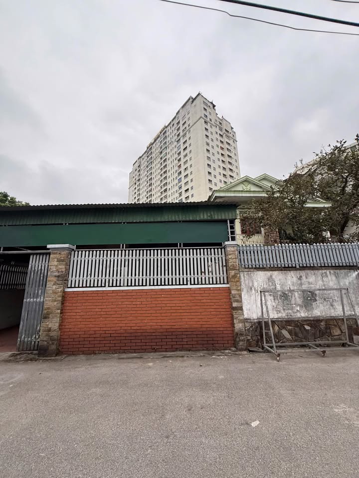 Nhà cấp 4 Nguyễn Thái Học Vinh 243m² 7 tỷ - Chính chủ