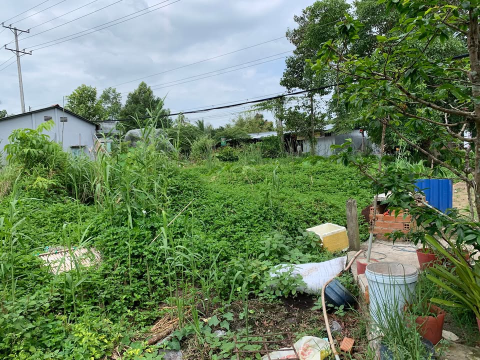 Đất nền QL61 Vị Thủy 1500m² 8 tỷ - Sổ đỏ chính chủ