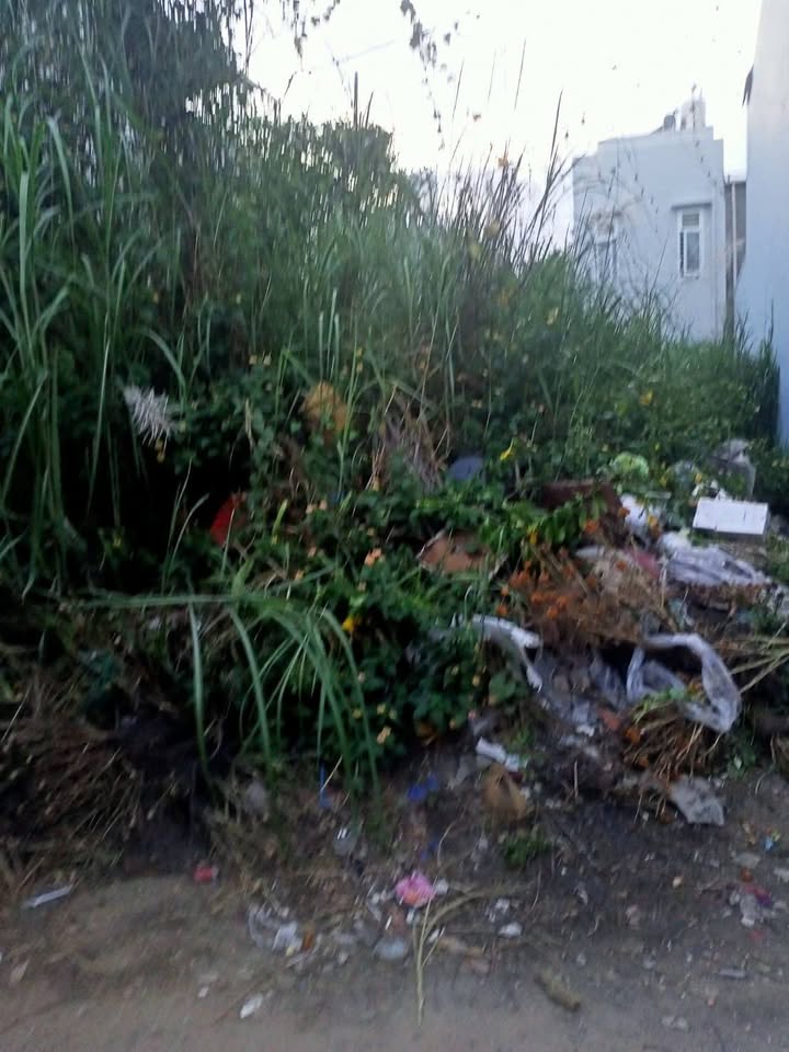 Đất nền Sư Vạn Hạnh Long Xuyên 79m² 2,15 tỷ - Sổ đỏ