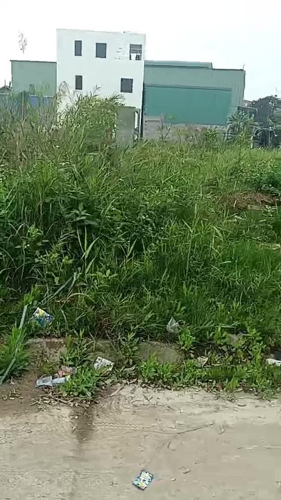 Đất Giãn dân Minh Châu 88m² hơn 2 tỷ - Giá tốt hiếm có