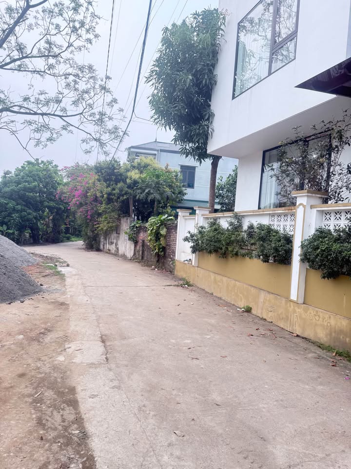 Đất nền Thanh Miếu Việt Trì 51m² hơn 1 tỷ - Sổ đỏ chính chủ