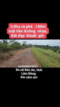 Đất vườn cà phê Đức An 3,8ha - 7,6 tỷ Sổ hồng rõ ràng