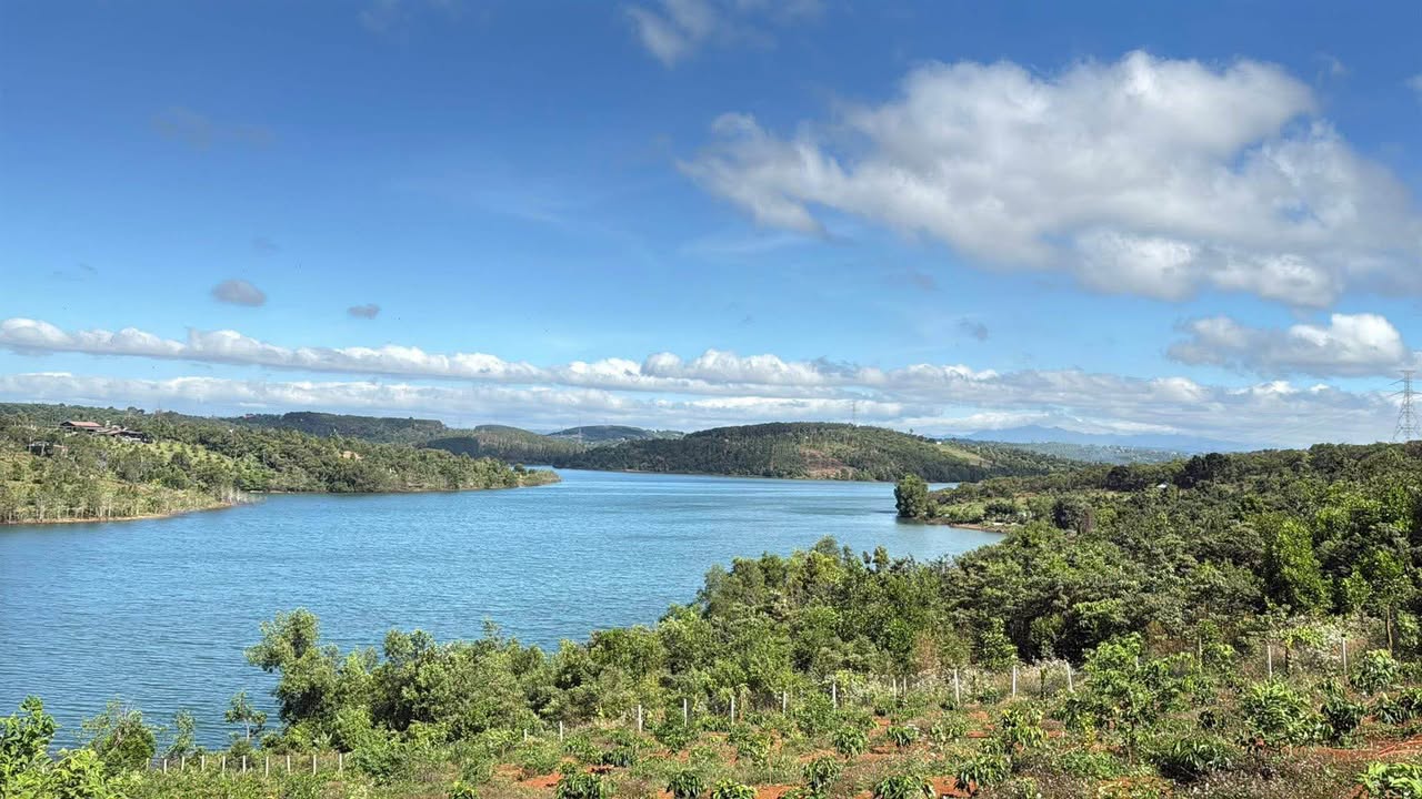 Trang trại Nhân Cơ Đắk Nông 2.160m² 3,5 tỷ - Sổ đỏ chính chủ