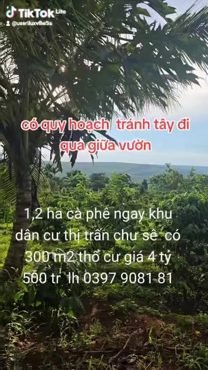 Đất nền Chư Sê 1,2ha giá 4,5 tỷ - Sổ đỏ chính chủ