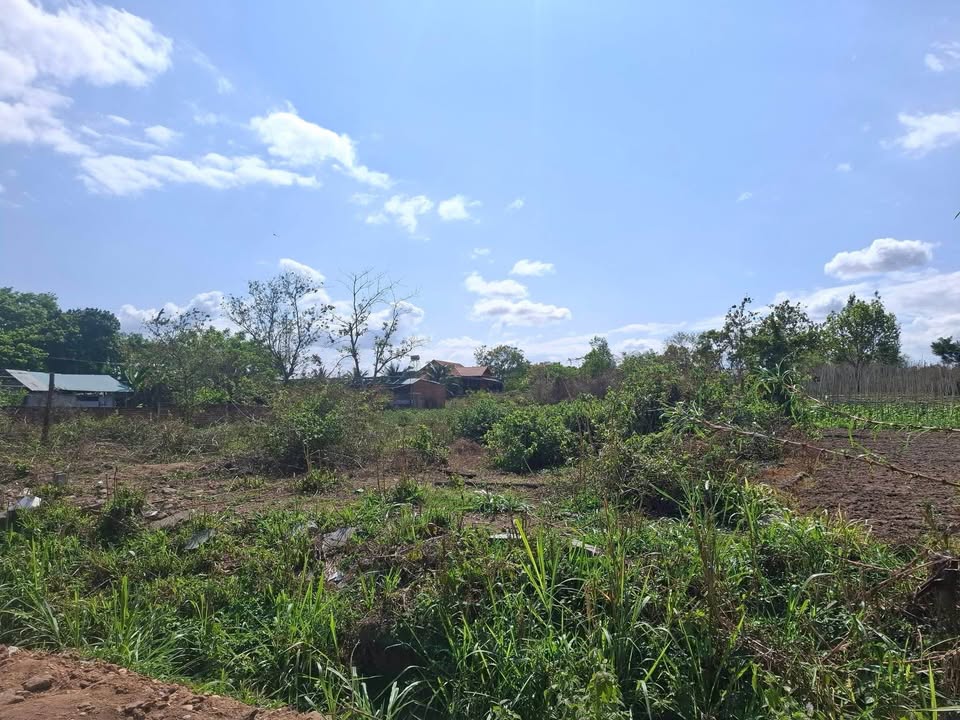 Đất Thôn 9 Kon Tum 130m² 500-599 triệu - Thổ cư 100%