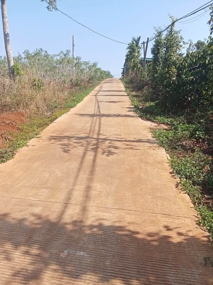 Đất vườn Ea Kuêh 3.240m² 2.4 tỷ - Đầu tư dài hạn