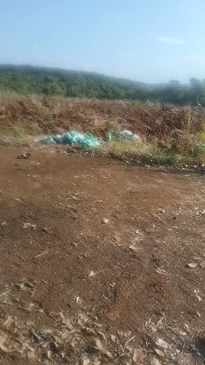 Đất nền Đắk Ơ Bình Phước 207m² 0.88 tỷ - Sổ đỏ chính chủ