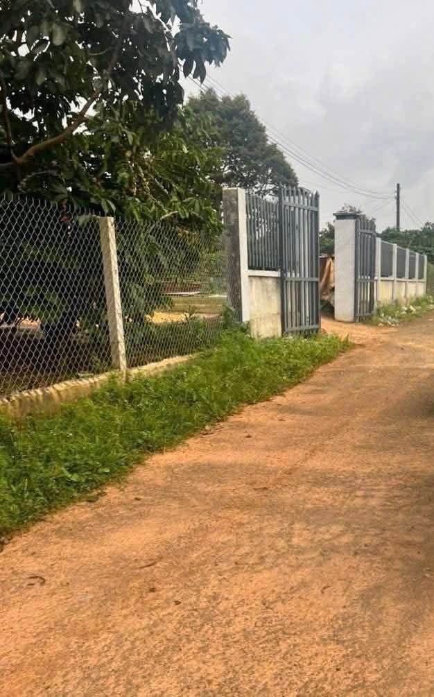 Đất nền Đức Thanh Bảo Lộc 1.296m² 2,3 tỷ - Sổ đỏ chính chủ