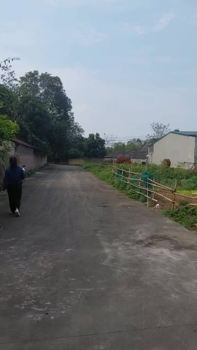 Đất Vân Lĩnh 83m² 6xx triệu - Sổ đỏ chính chủ