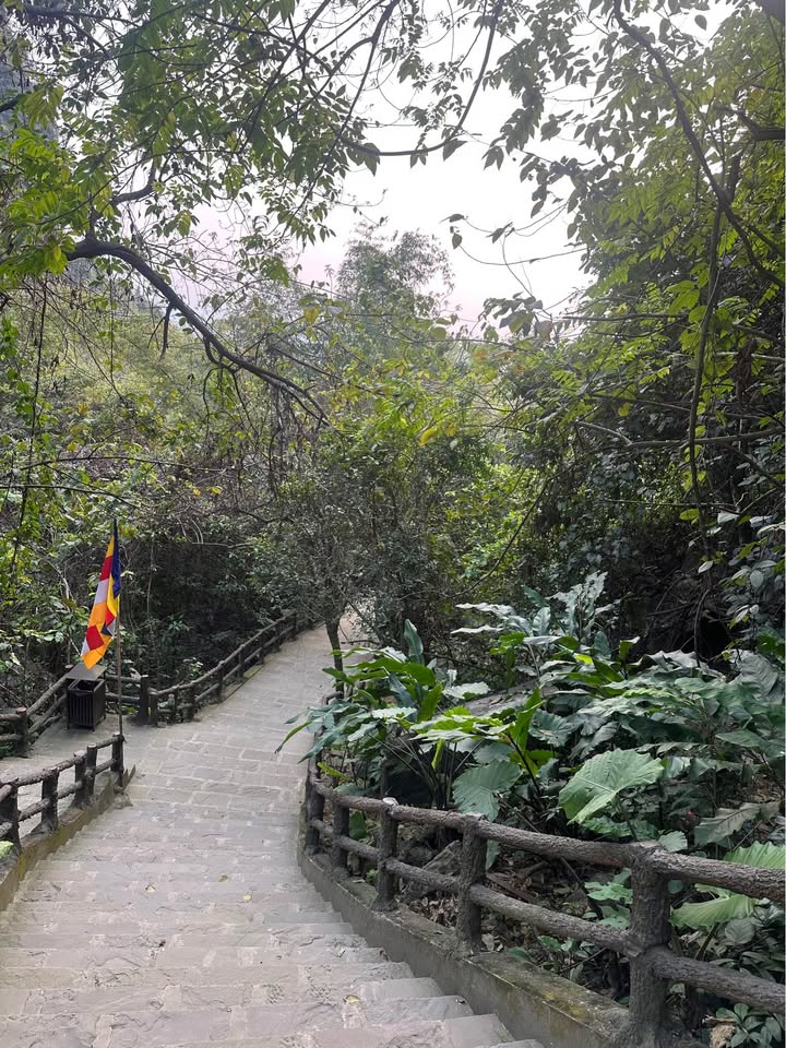 Nhà cấp 4 ngõ 800 Cẩm Thành - Thỏa thuận - Sẵn ở ngay