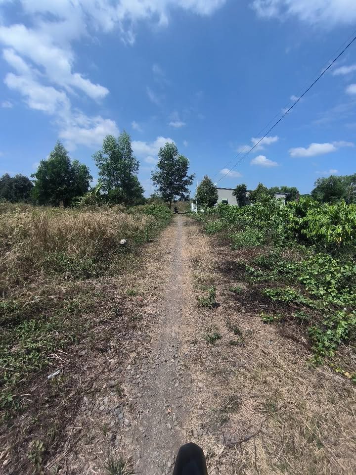 Đất nền Phú Xuân Tân Phú 720m² 650 triệu - Sổ đỏ chính chủ