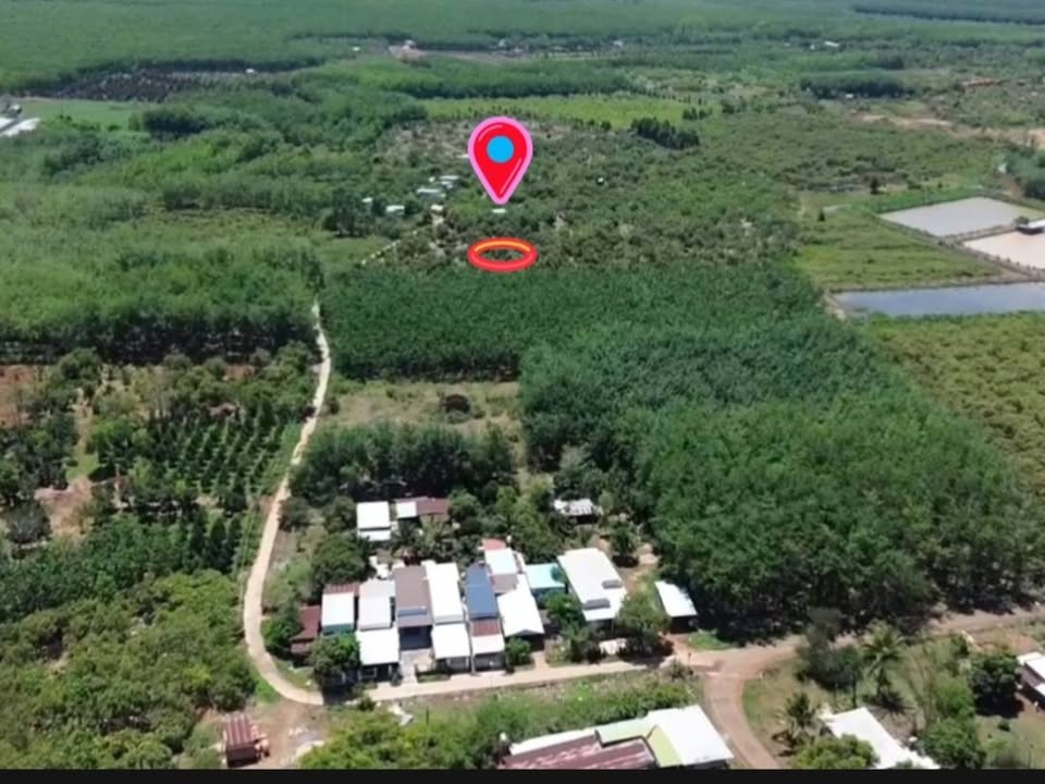 Farm Đa Kia 20.000m² 2.7 tỷ - Sổ đỏ chính chủ