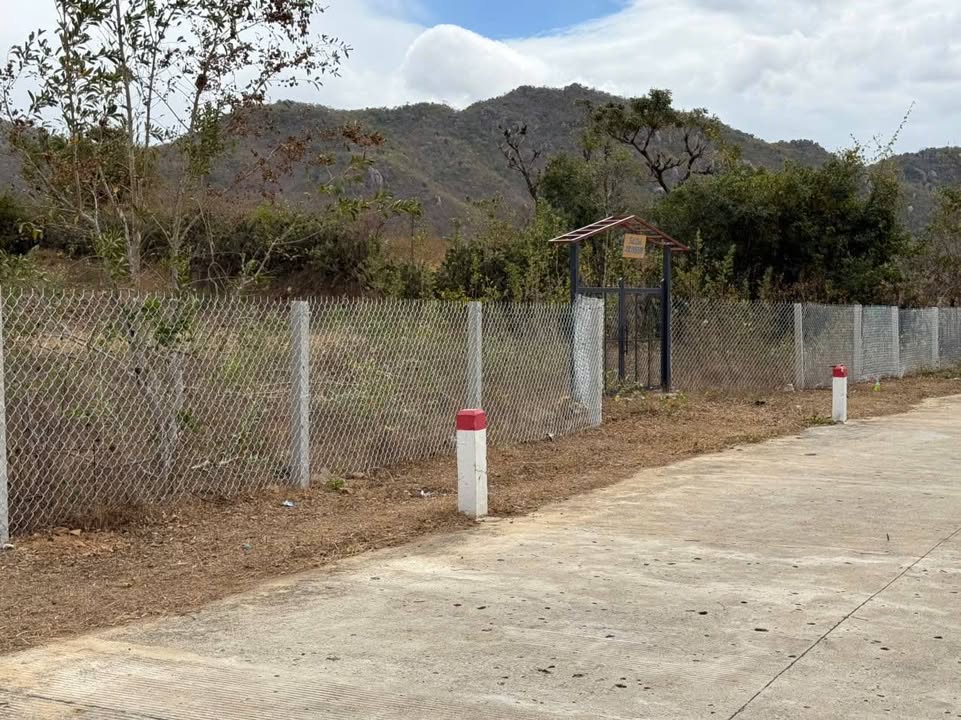 Đất HNK Phước Trung Bác Ái 3787m² giá 320 triệu/sào - Xây dựng tự do