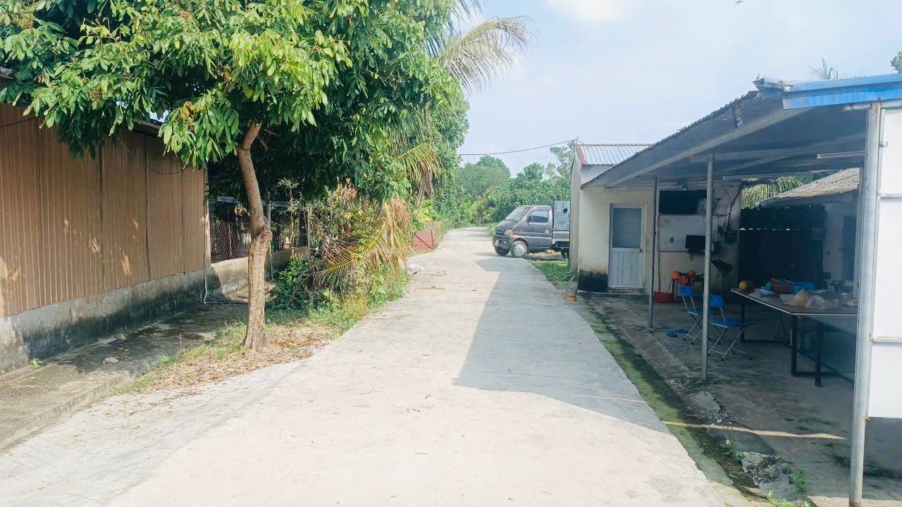 Trang trại Vô Tranh 13.000m² 4 tỷ, hạ tầng hoàn thiện