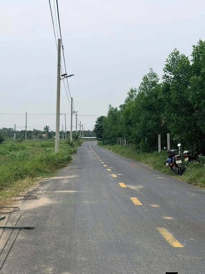 Townhouse Long Tan Long Dat 132m² 1.25 tỷ - Đường lớn sầm uất