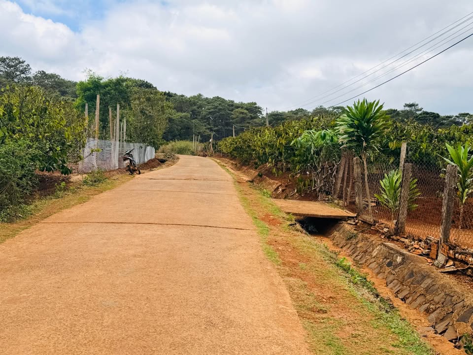 Đất vườn Đăk Djrăng 2.880m² 2 tỷ - Đầu tư dài hạn