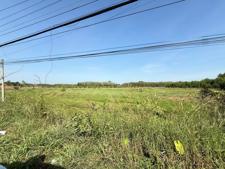 Đất nền Gò Dầu Tây Ninh 11.000m² 25 tỷ - Sổ đỏ chính chủ