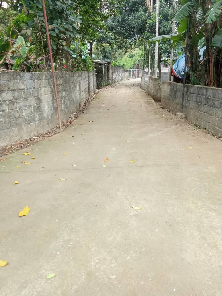 Đất thổ cư Cao Dương Lương Sơn 315m²/2,8 triệu/m² - Sổ đỏ chính chủ