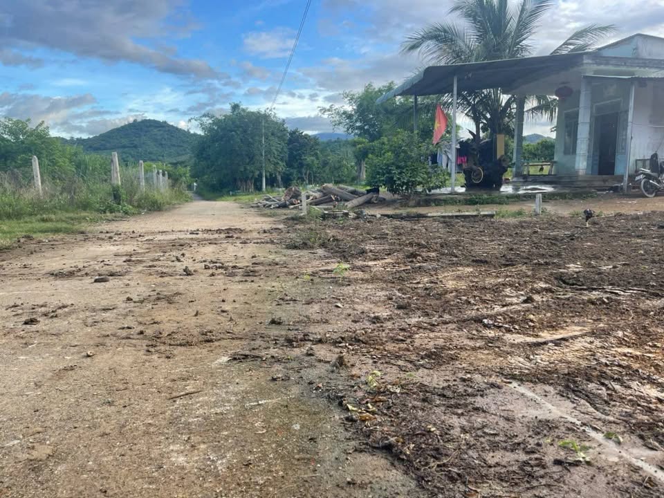 Đất nền Diên Đồng Diên Khánh 125m² 520 triệu - Sổ đỏ chính chủ