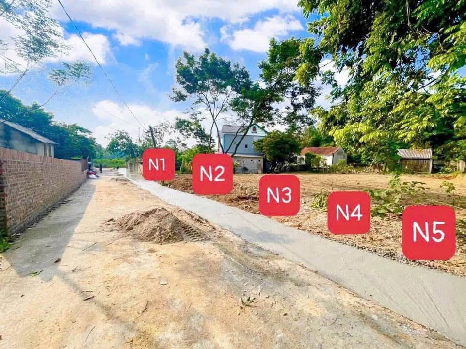 Đất nền Tam Dương 150m² giá 600 triệu - Tiềm năng tăng giá