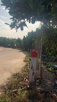 Đất vườn Dĩ An 1008m² 2.25 tỷ - Sinh thái xanh