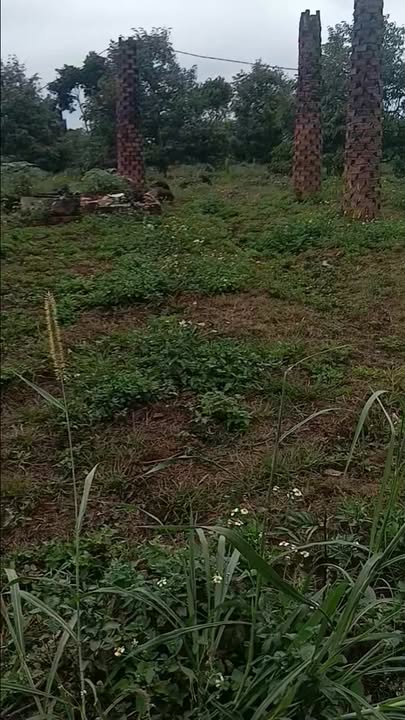 Trang trại Xuân Phú Ea Kar 1.440m² - Pháp lý rõ ràng