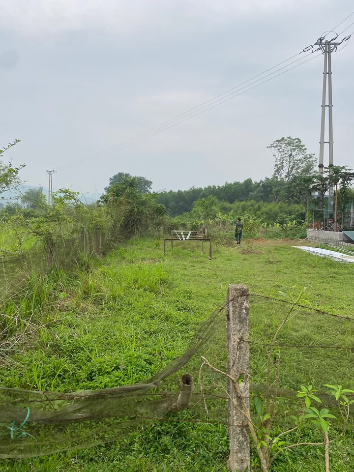 Đất nền Hương Xuân TT Huế 147m² giá đầu tư - Sổ đỏ chính chủ