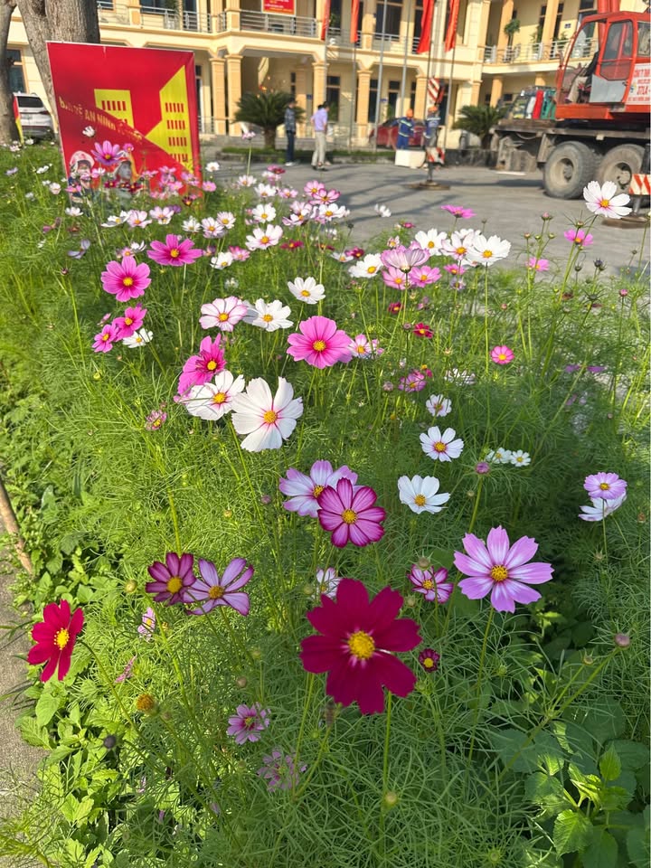 Đất nền Hưng Phúc Vinh 161m² - Tiềm năng tăng giá