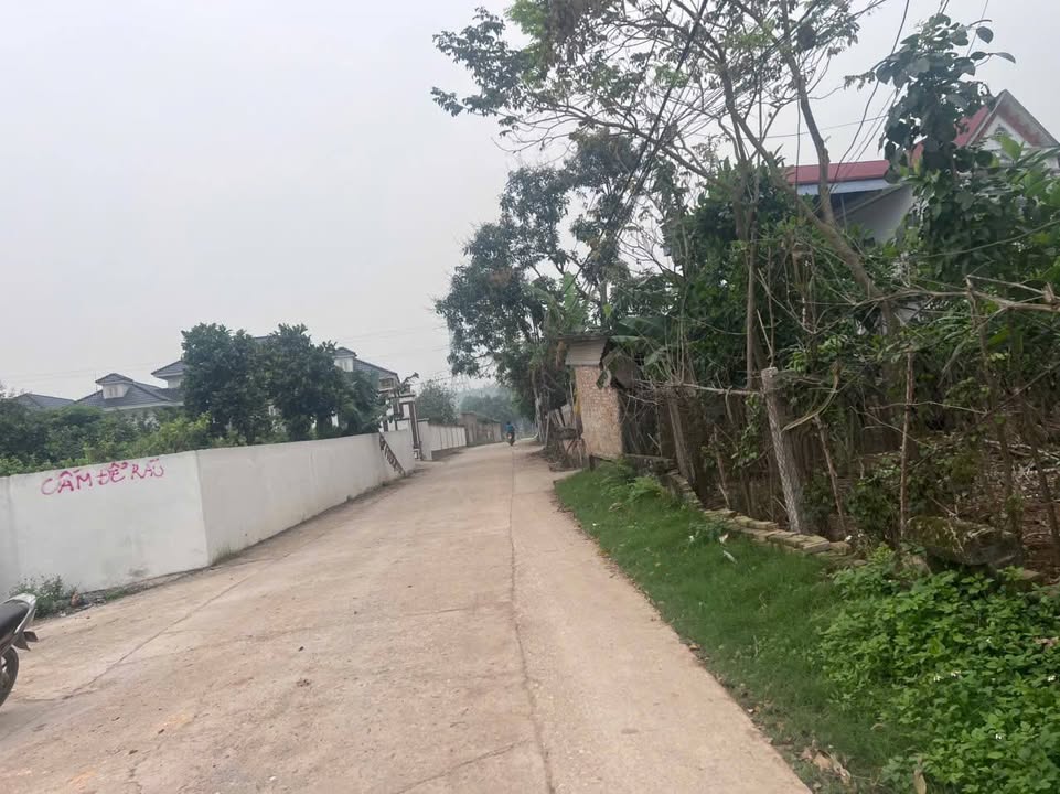 Đất nền Lãng Công Sông Lô 190m² 1,6 tỷ - Sổ đỏ chính chủ