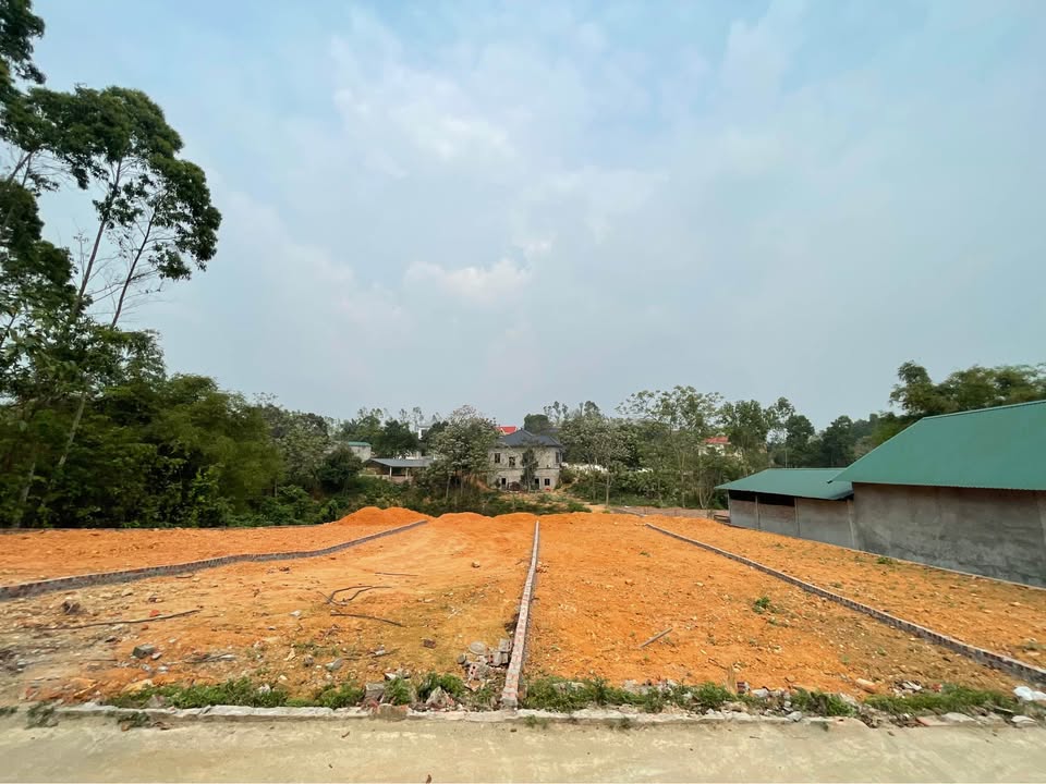 Đất nền Tam Quan - Tam Đảo 103m² từ 400tr - Sổ đỏ chính chủ