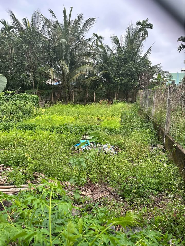 Đất nền Tam Xuân I 105m² 700 triệu - Hạ tầng hoàn thiện