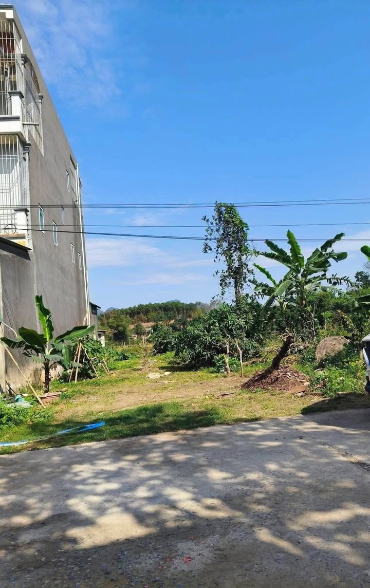 Đất Đức Thành Nho Quan 115m² 600-699 triệu - Sổ đỏ chính chủ