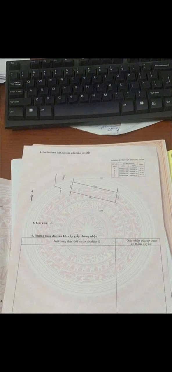 Đất nền Tân Dân Khoái Châu 100m² giá 2x triệu/m² - Tiềm năng tăng giá