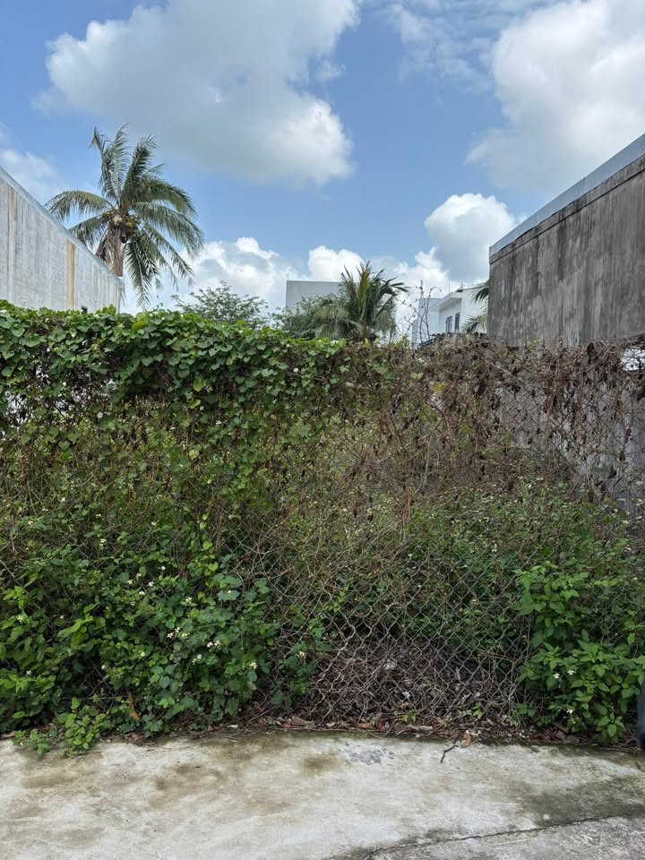 Đất nền Xuân Yên Sông Cầu 78m² 800tr - Sổ đỏ chính chủ