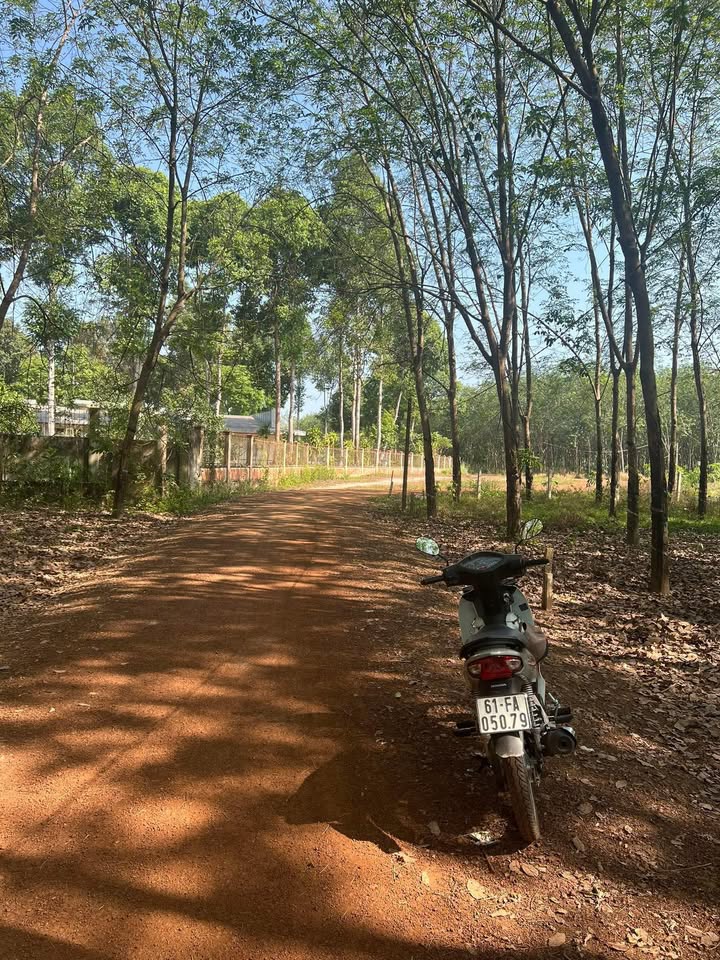 Đất nền Tân Hiệp Phú Giáo 190m² 600 triệu - Sổ đỏ chính chủ