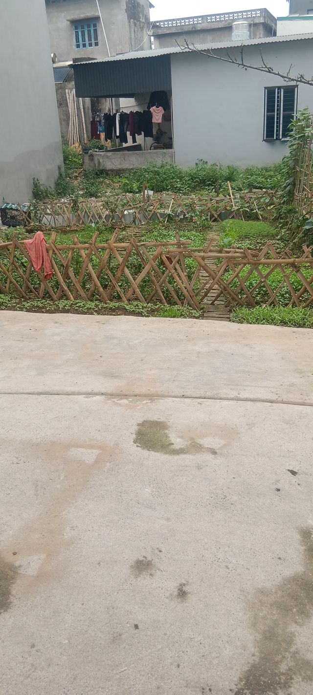 Đất ngõ Đông Tác Thanh Hóa 56m² 1.5 tỷ - Ô tô vào