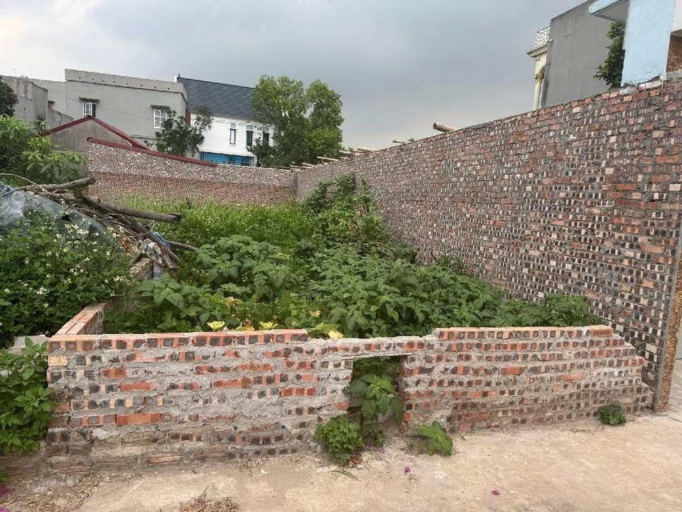 Đất nền Lệ Chi Gia Lâm 60m² 2,65 tỷ - Sổ đỏ chính chủ