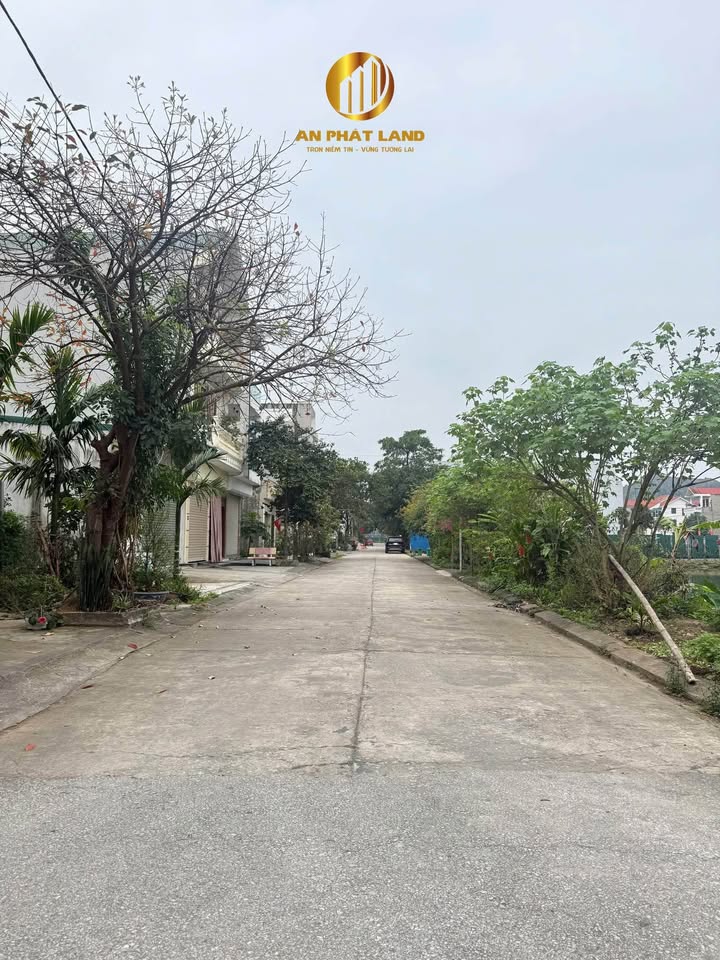 Đất nền Ngõ 2 Trần Quốc Toản 93m², 6 tỷ - Sổ đỏ chính chủ