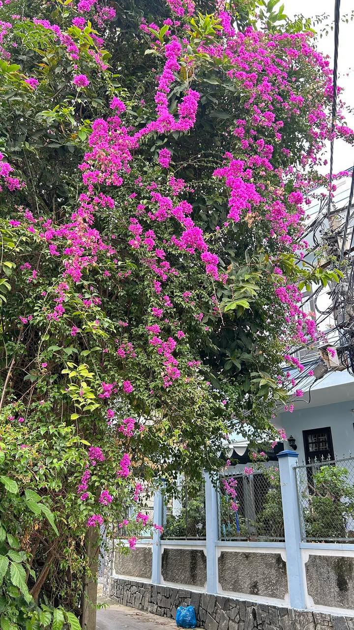 Nhà Thái Thị Bôi Thanh Khê 84m2 4.x tỷ - Vị trí đẹp