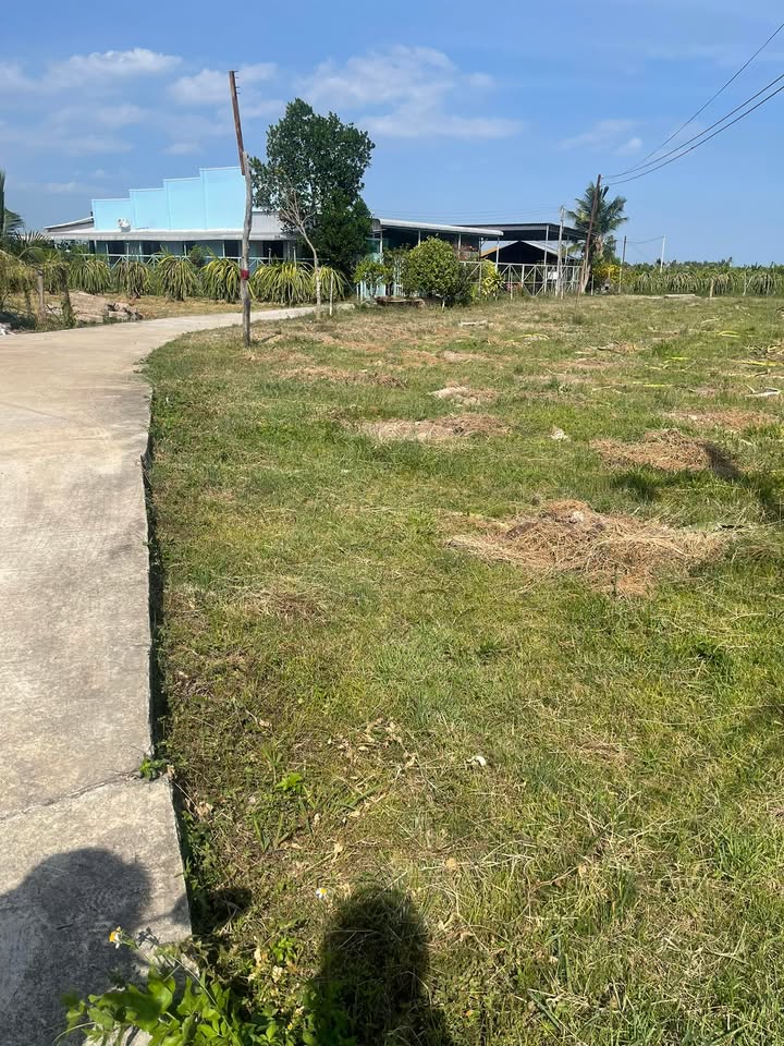 Đất nền Quận 7 Phường Bình Thuận 648m² giá 700-799 triệu - Sổ đỏ chính chủ