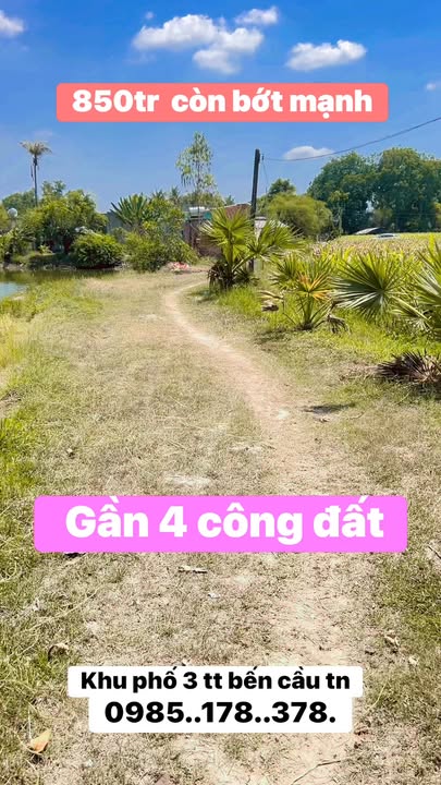 Đất nền Khu phố 3 Bến Cầu 4.000m² 0.8-0.899 tỷ - Sổ đỏ chính chủ