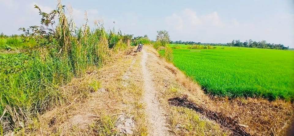 Đất nền Tam Bình 2.300m² 414 triệu - Sổ đỏ sẵn