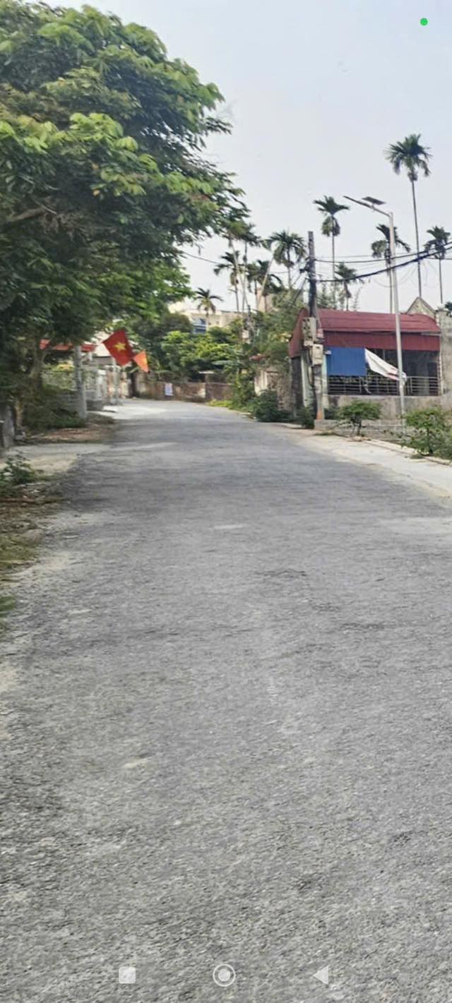 Đất nền Trường Thành An Lão 130m² 1.3 tỷ - Giá tốt hiếm có