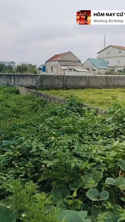 Đất nền Thị trấn Xuân An 150m² 1.5-1.59 tỷ Sổ đỏ chính chủ