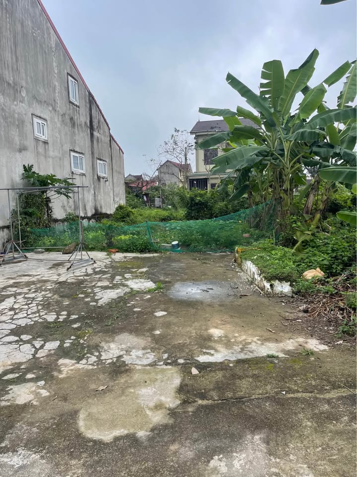 Đất nền Thị trấn Củ Chi 153m² 1 tỷ - Sổ đỏ chính chủ