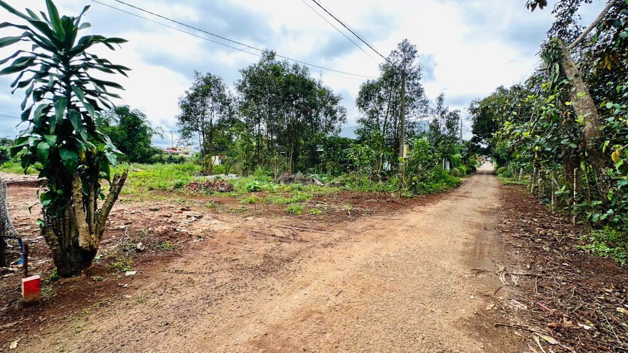 Đất nền Pleiku Phạm Văn Đồng 220m² 2.2 tỷ - Sổ đỏ chính chủ