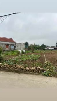 Đất nền Bắc Lý Hiệp Hòa 125m² 1,1 tỷ - Sổ đỏ chính chủ